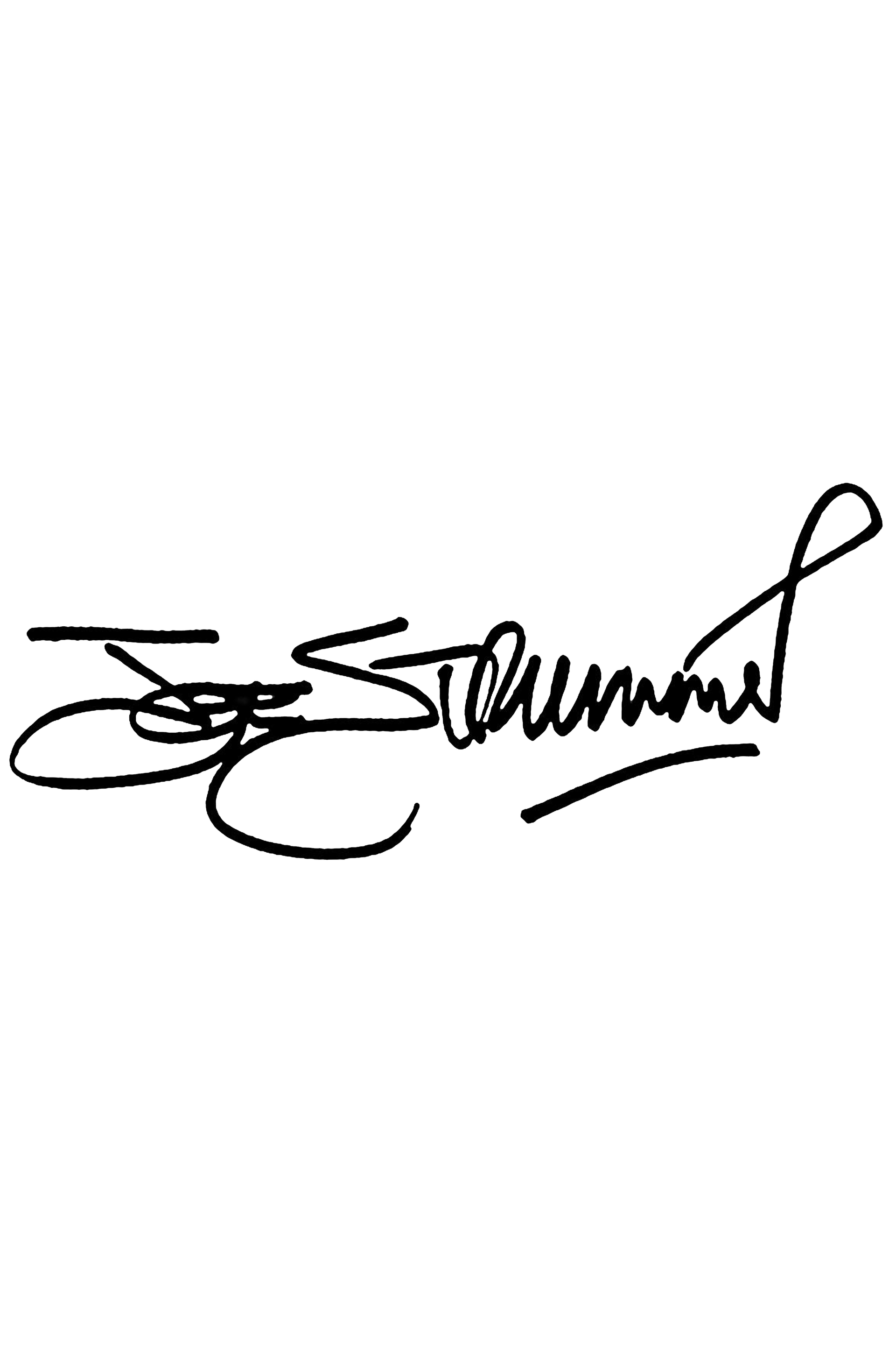 Joe Strummer Signature